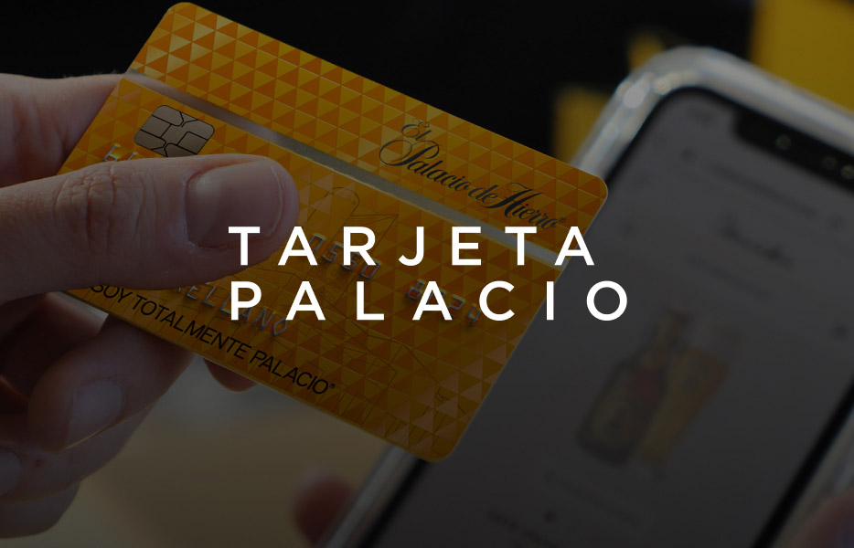 Servicios financieros Palacio