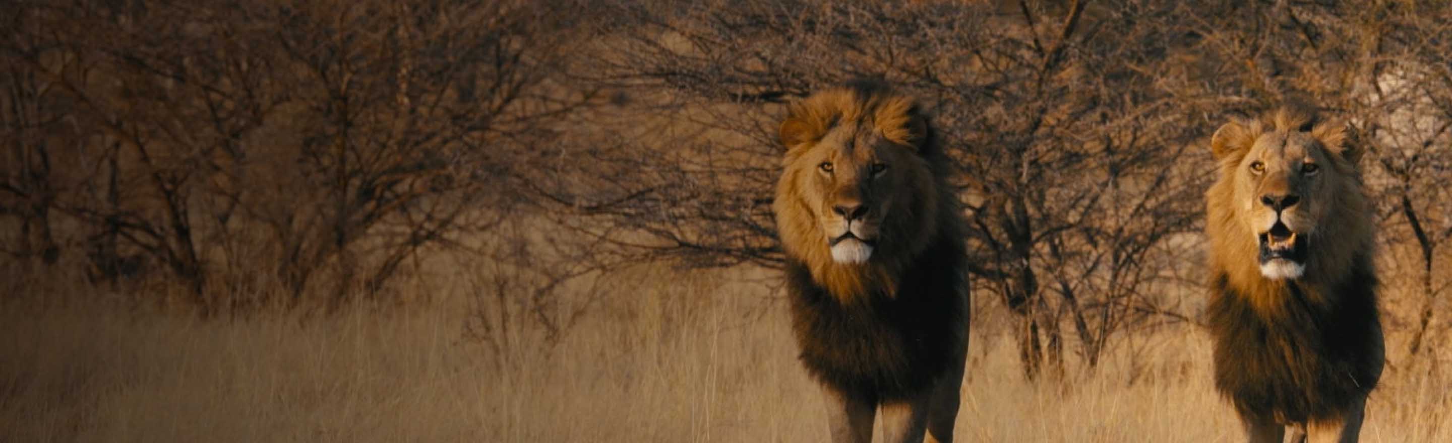 Bienvenido a Abercrombie & Kent México