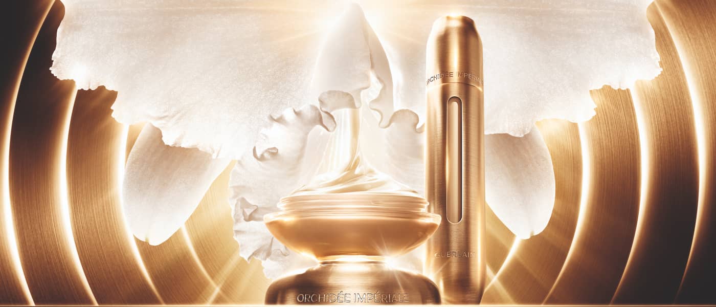 Orchidée gold nobile la crema