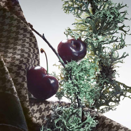 Imagen de un pañuelo junto a el un racimo de chypre y dos cerezas