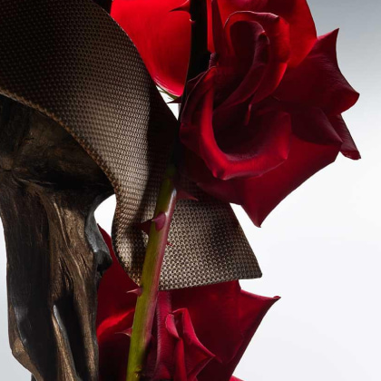 Imagen de una corbata cafe, enredada en ella una rosa roja