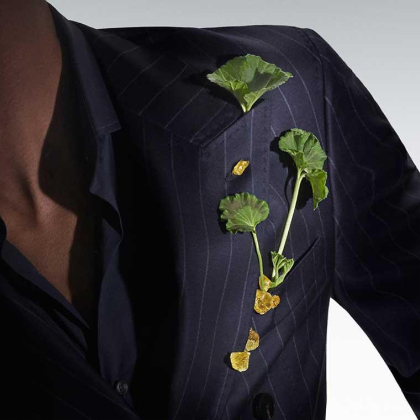 hombre con taje color azul en el bolso de arriba del traje lleva una rama geranio y semillas de ambrette