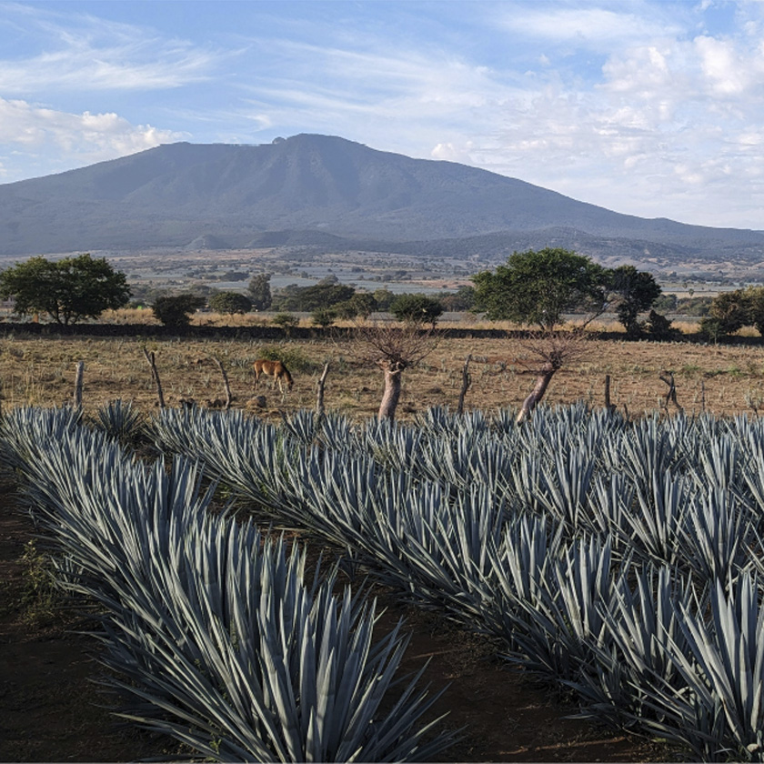 MODERNO Y SUSTENTABLE