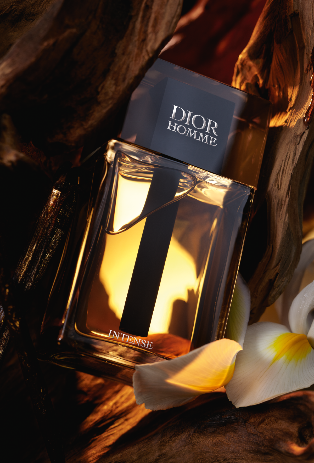 Dior Capture Totale Crema