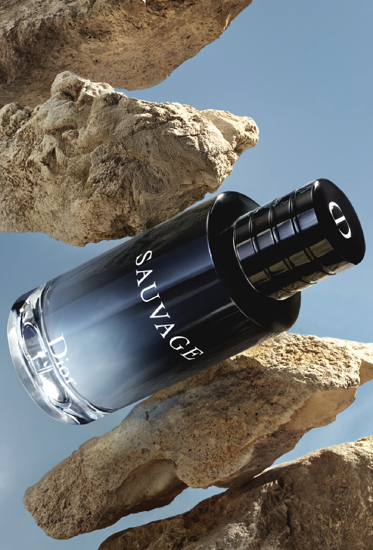 Dior Capture Totale Crema