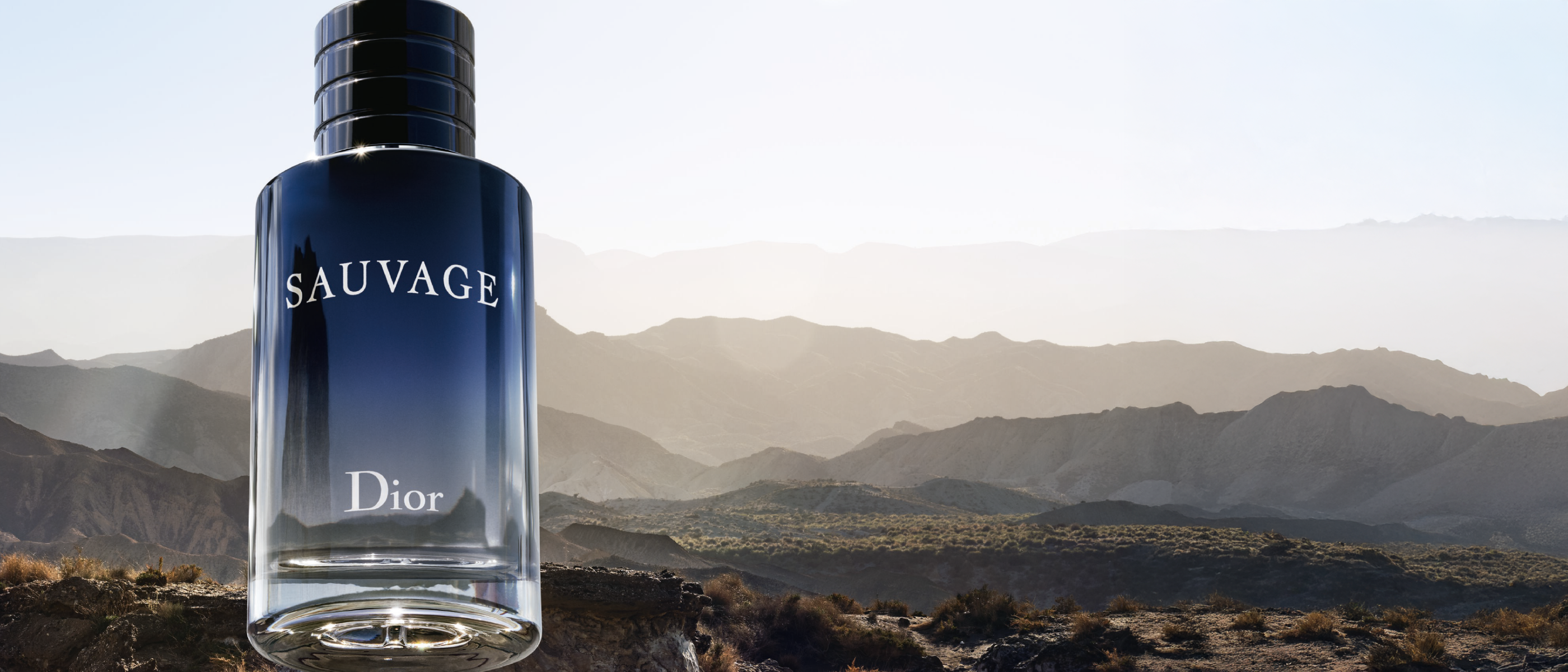 Sauvage Eau de Toillete