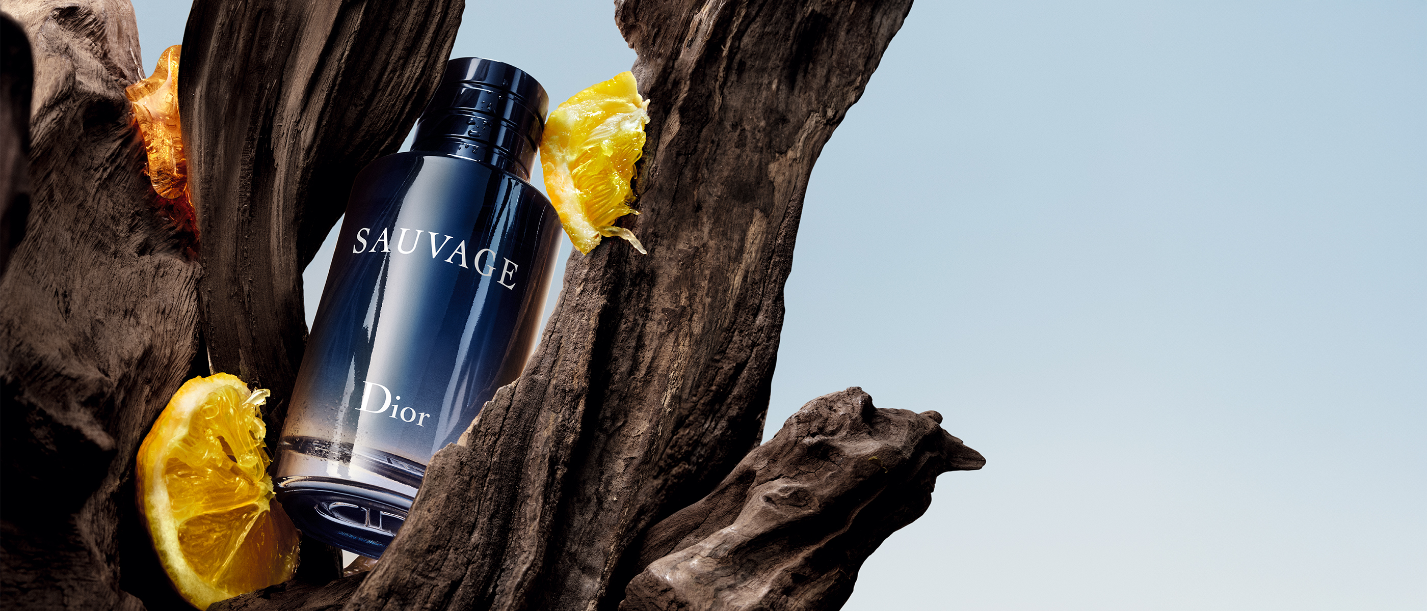 Sauvage Eau De Toilette