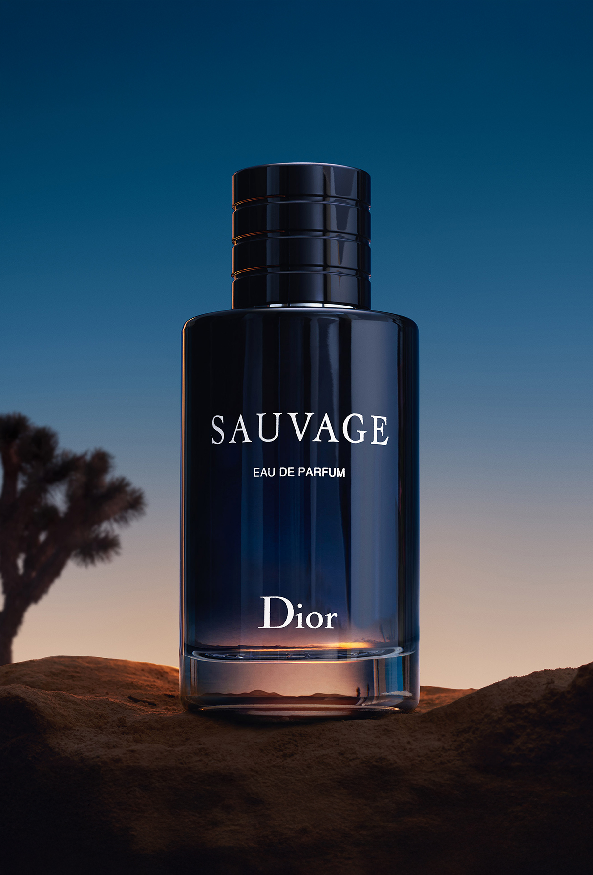 Dior Capture Totale Crema