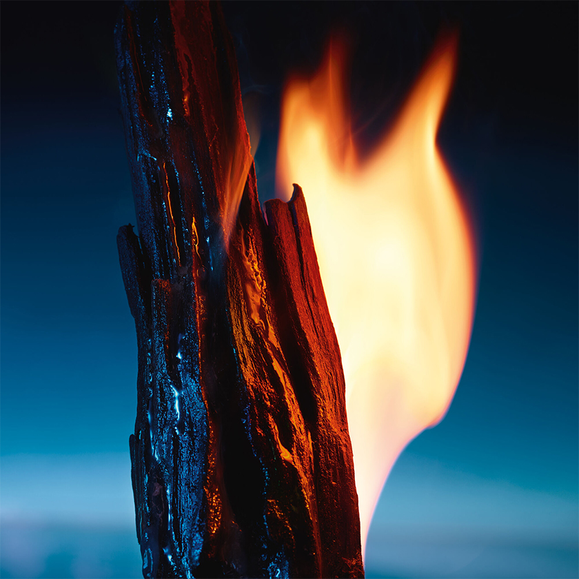 Madera de Sándalo y Cedro 