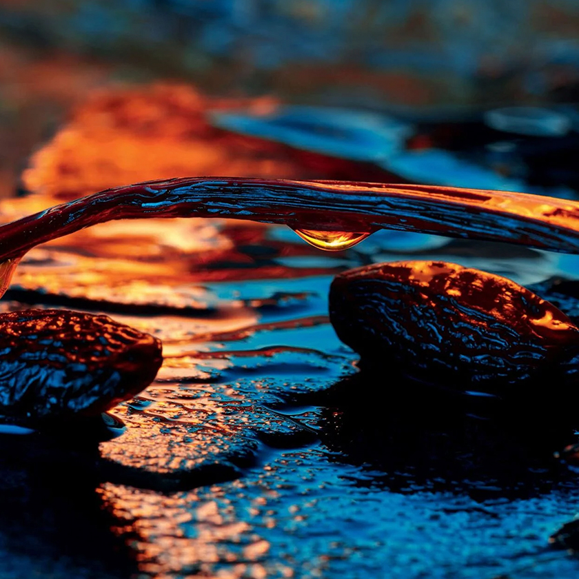 Vainilla y Haba Tonka