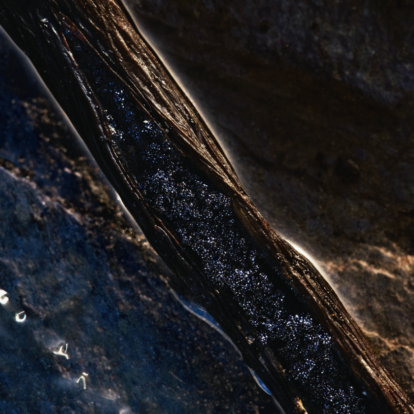 Vainilla y haba tonka