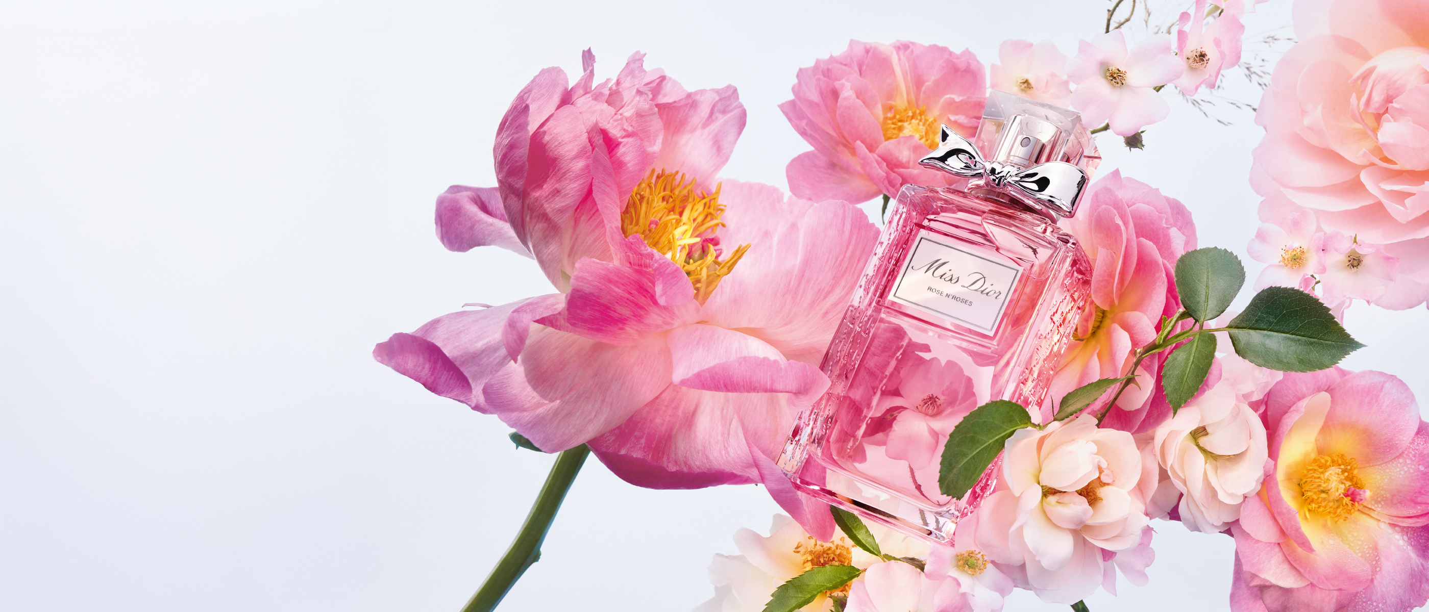 Miss Dior Rose N'Roses - Eau de toilette