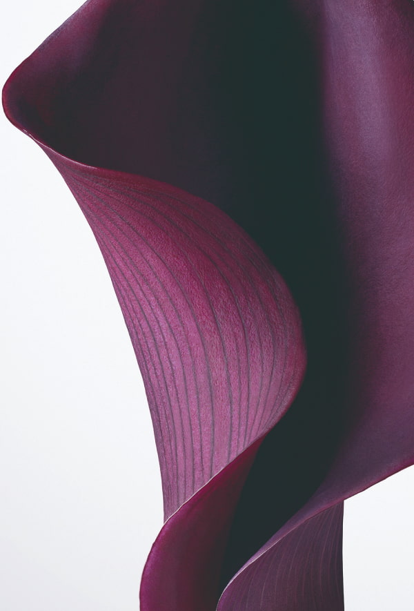 Dior Capture Totale Crema