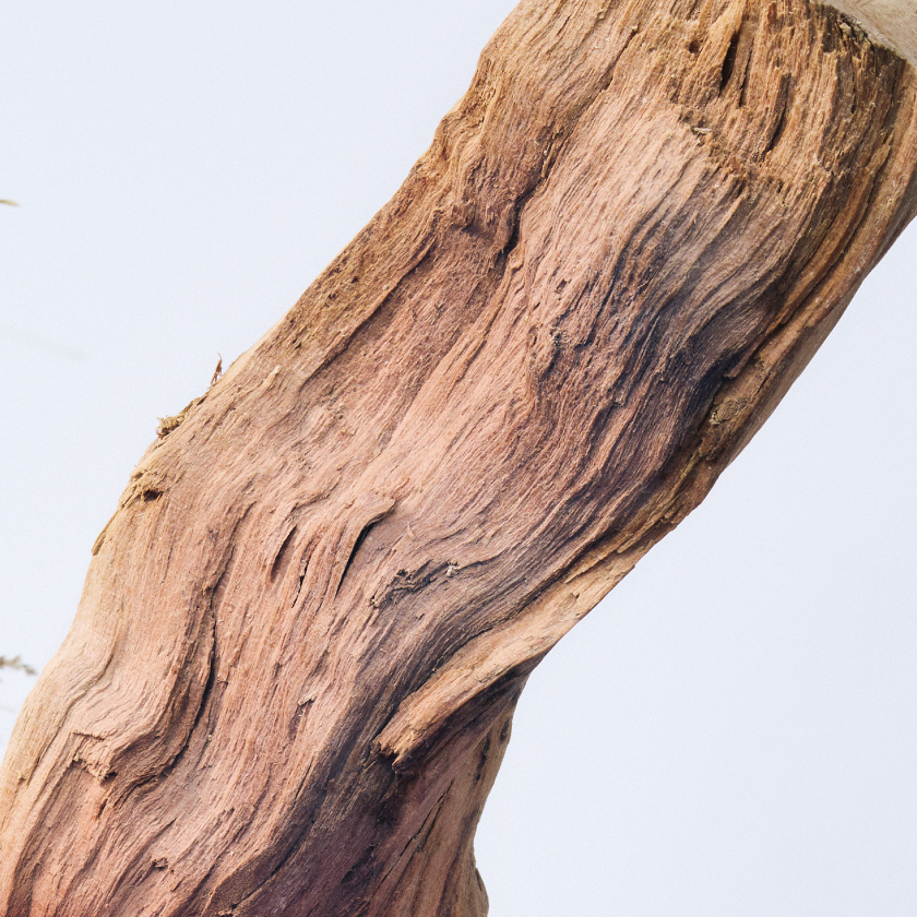 frasco de tratamiento para la piel de La Mer