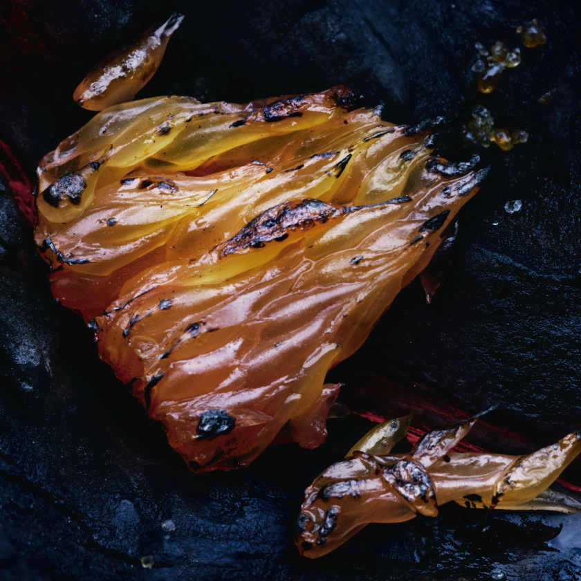 Nota de pomelo y corazón de especias