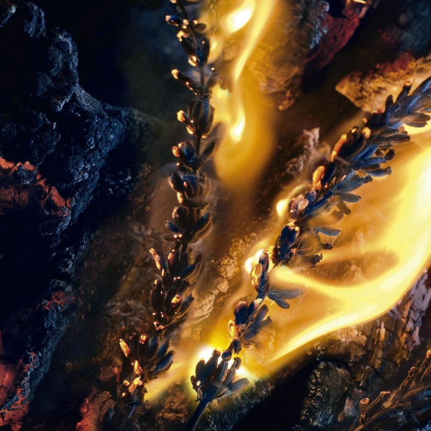 Esencia de lavanda DOP de Nyons