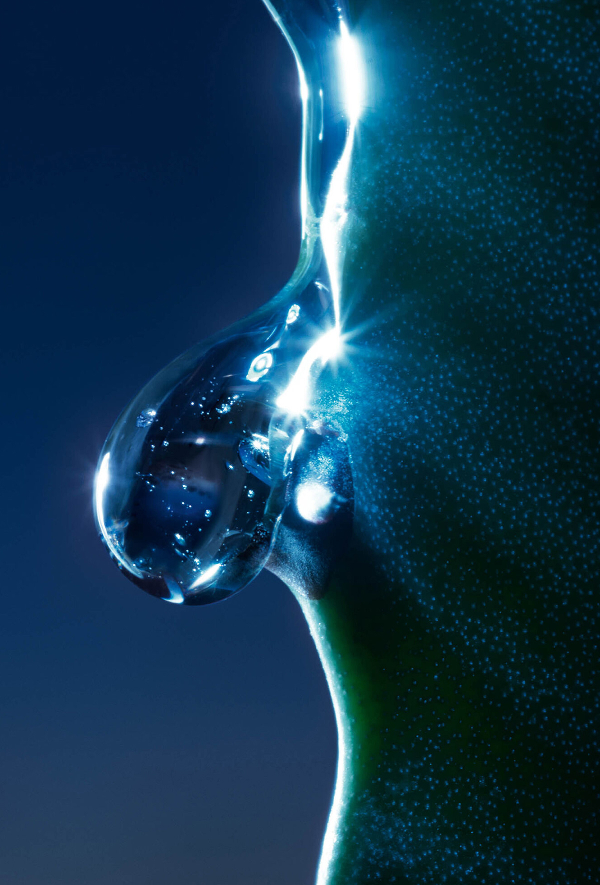 Beneficios e Ingredientes principales