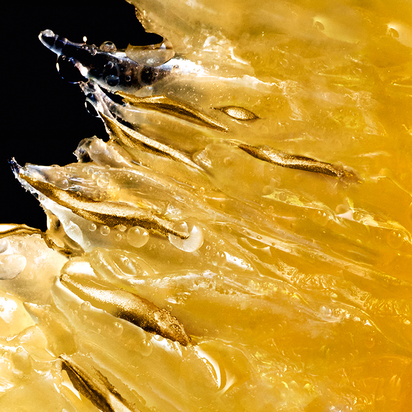 BERGAMOTE FANTASTICO