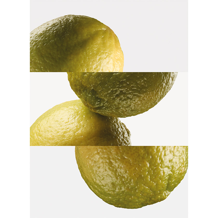 Bergamota chispeante 