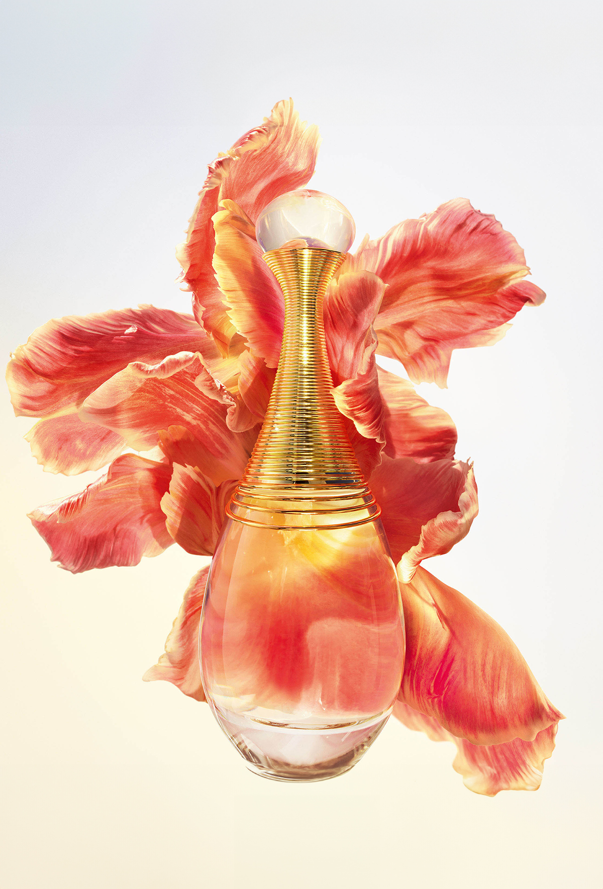 Palabras del perfumista 