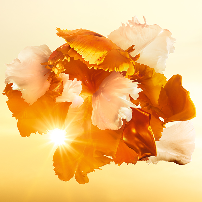 JAZMÍN GRANDIFLORUM