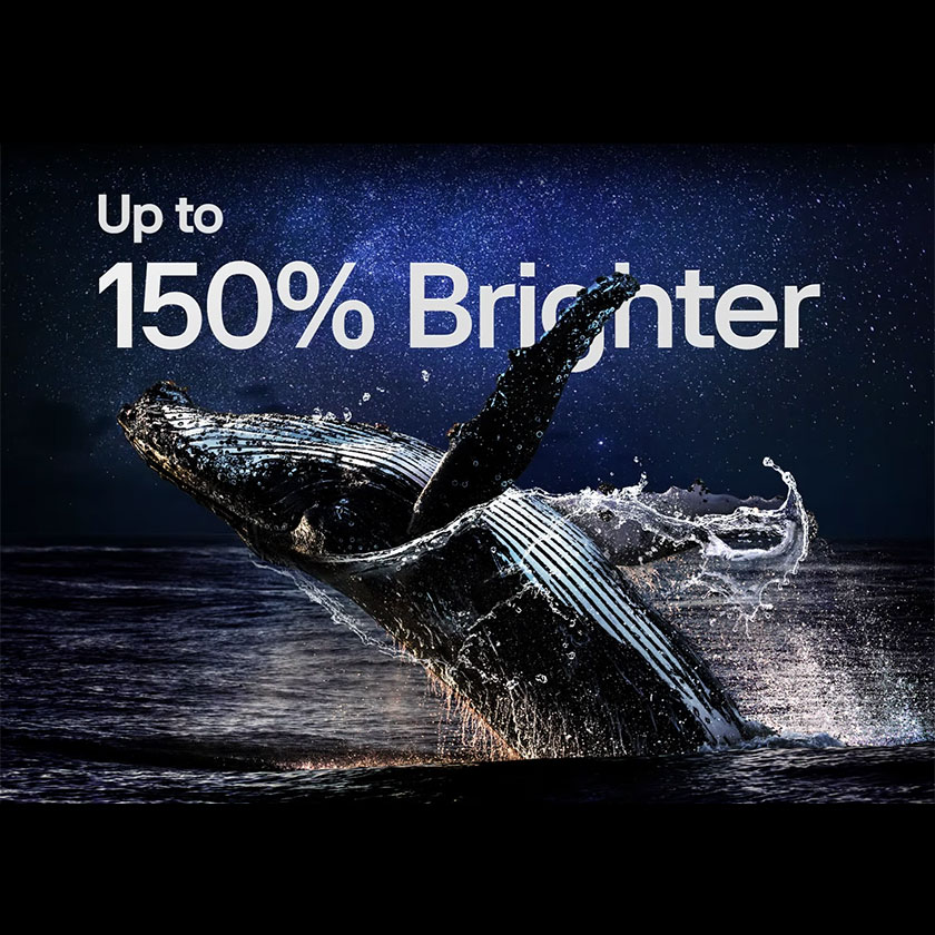 Potenciador de Brillo Max