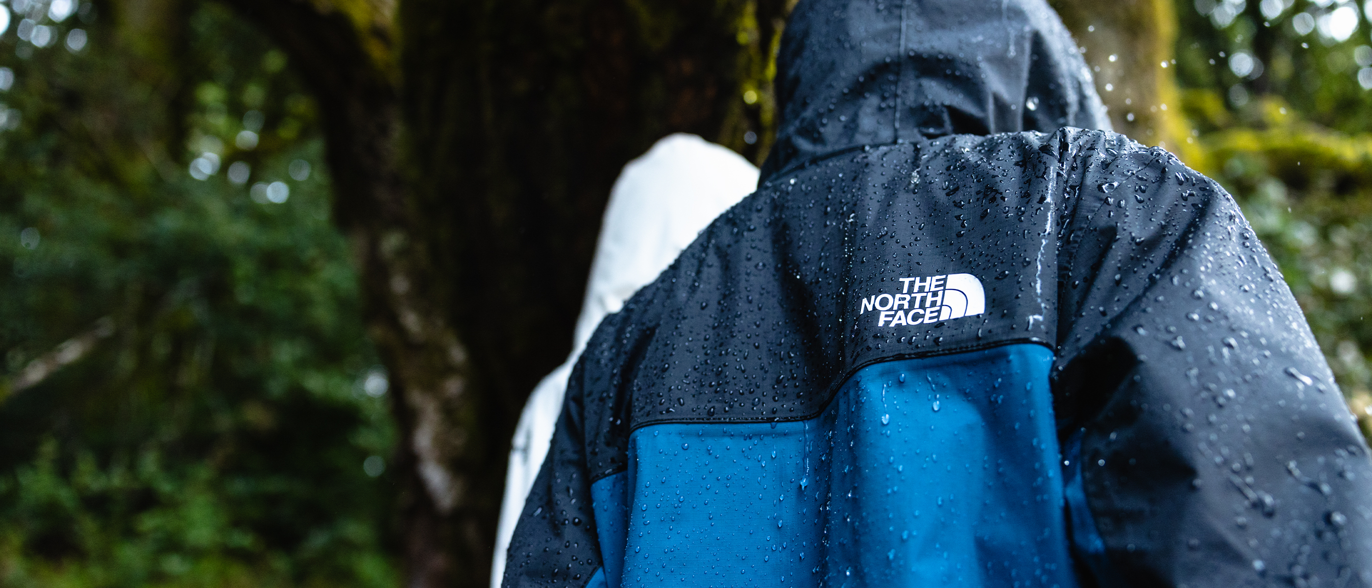 Dior Capture Totale Crema 