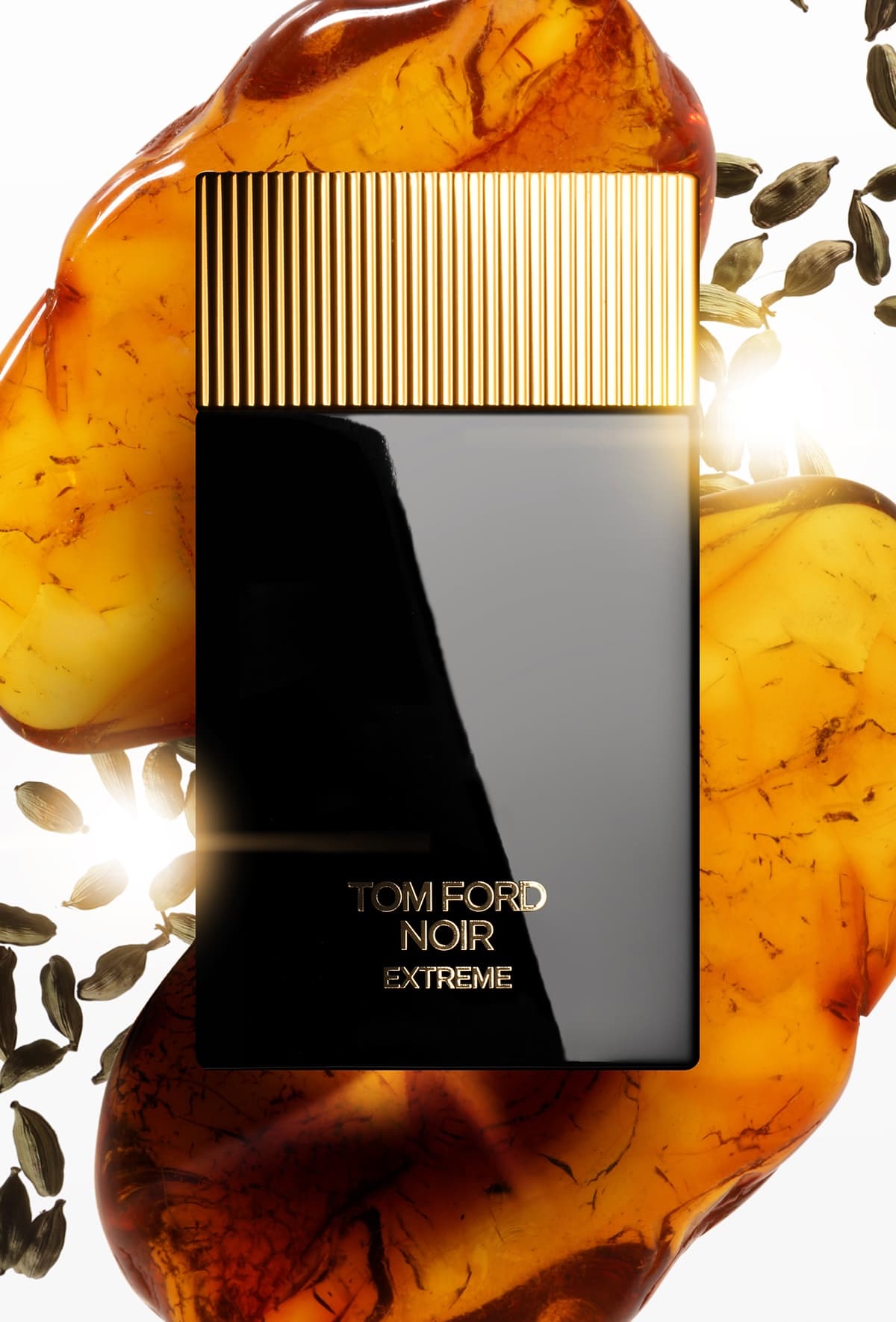 Tom Ford Perfume, Noir Extreme Eau de Parfum, 100 ml Hombre El Palacio de Hierro