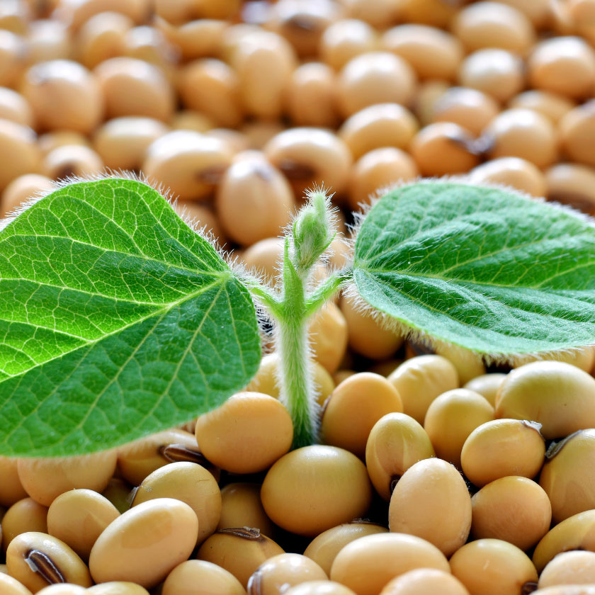 UNICHAIR GLAM GROWTH SHAMPOO