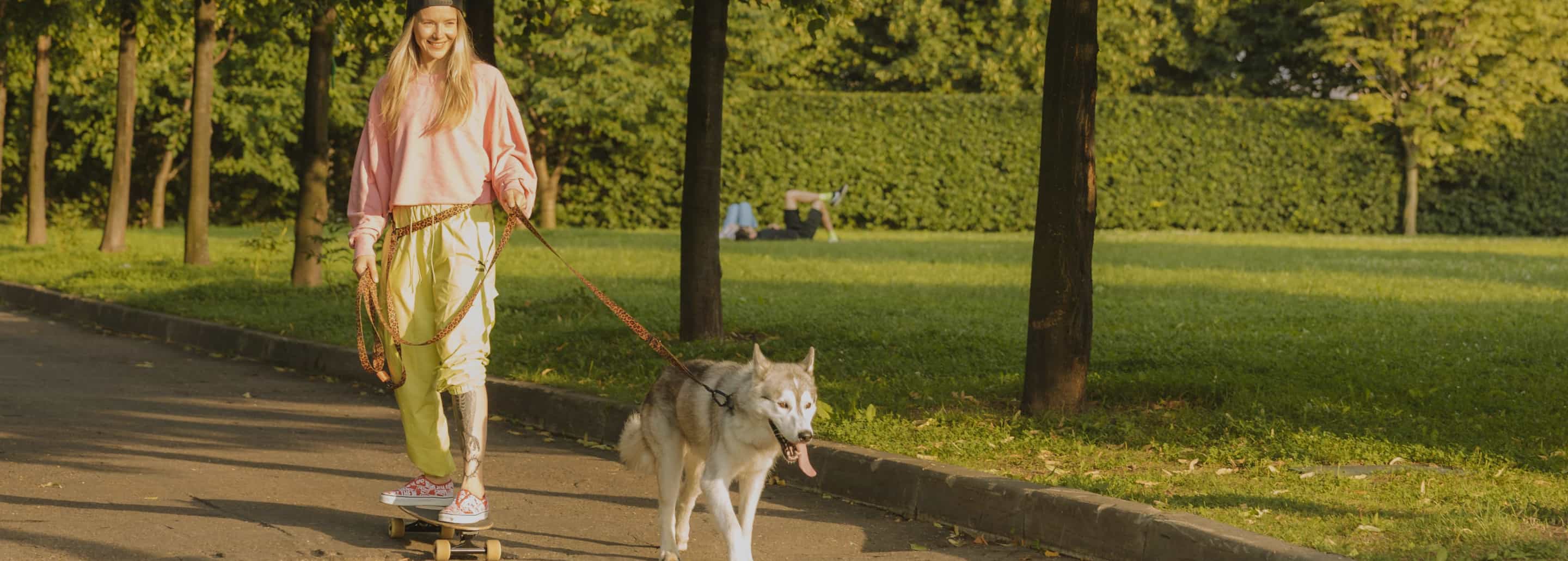 5 actividades al aire libre con tu perro