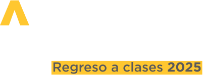 naming Academia palacio