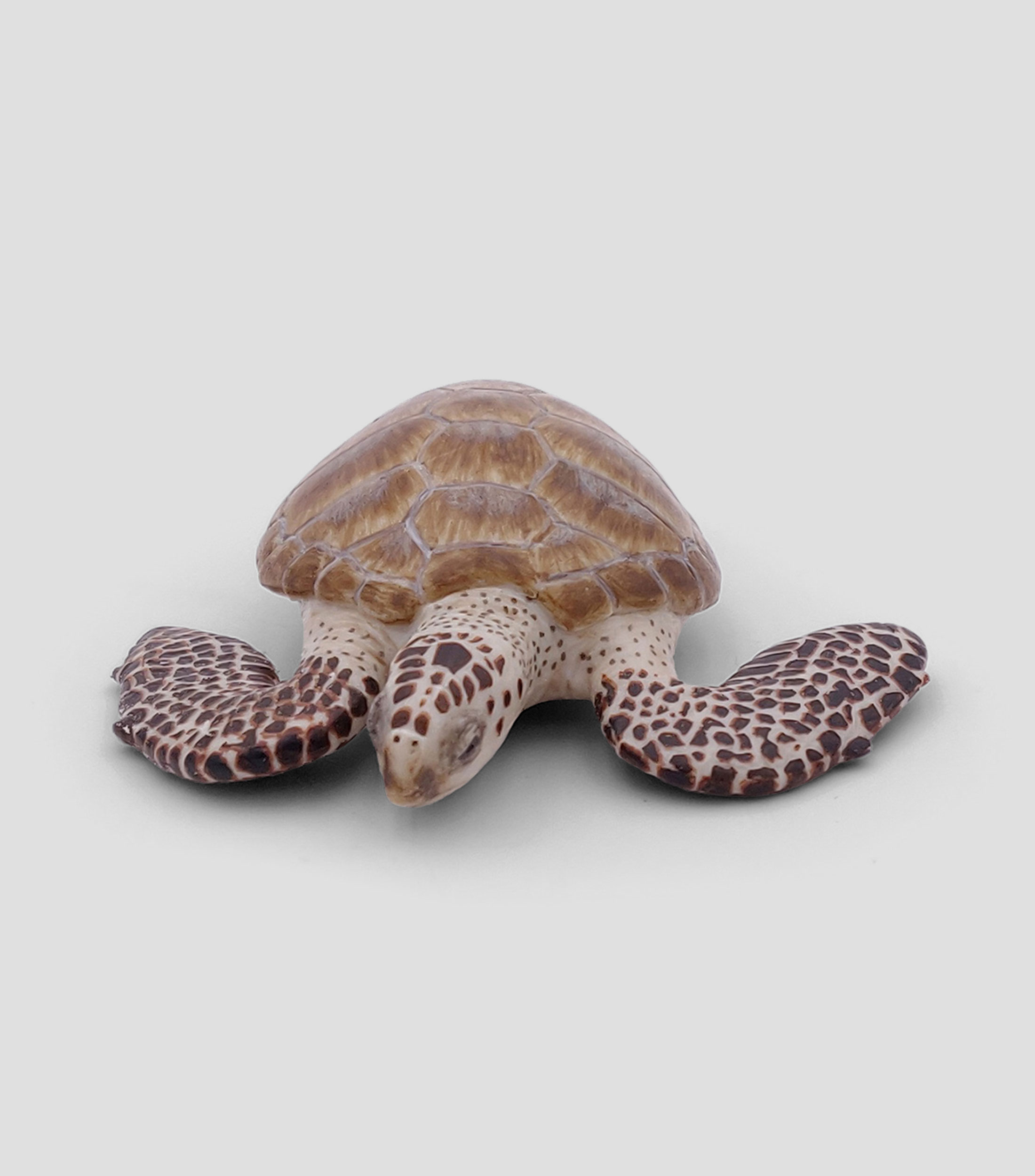 Figura de Tortuga Caguama