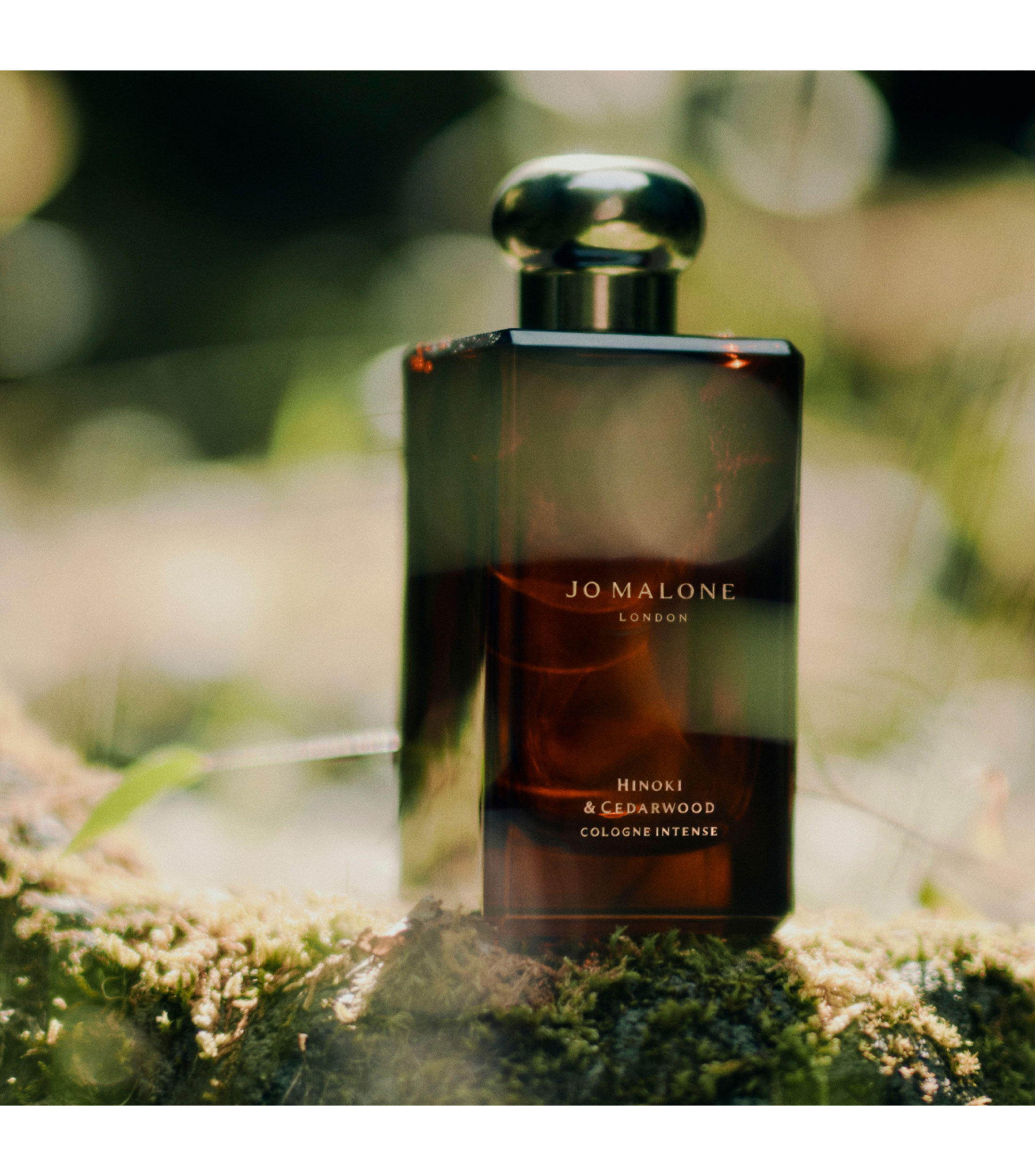 Perfume Hinoki amp Cedarwood Cologne Intense, Eau de Parfum 100 ml Unisex