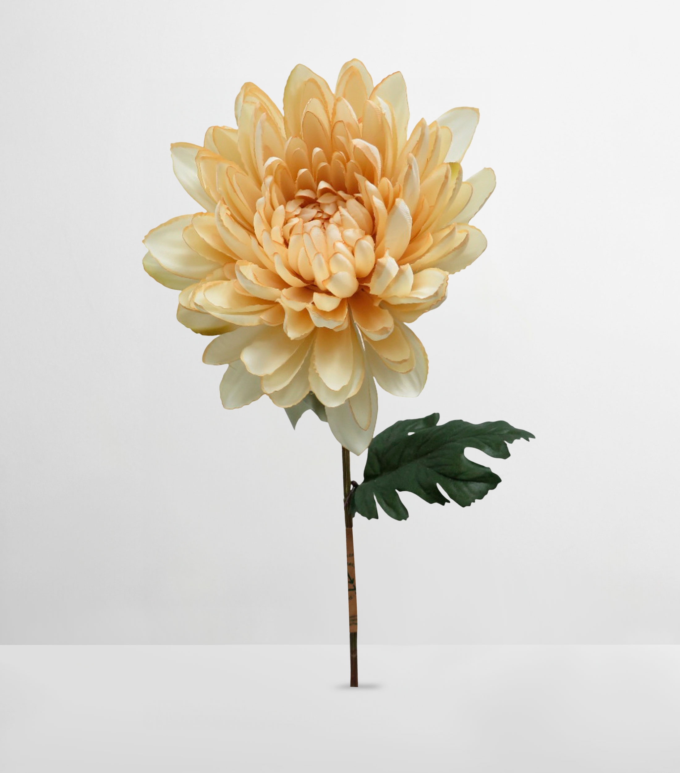 Flor Decorativa Crisantemo Ivory