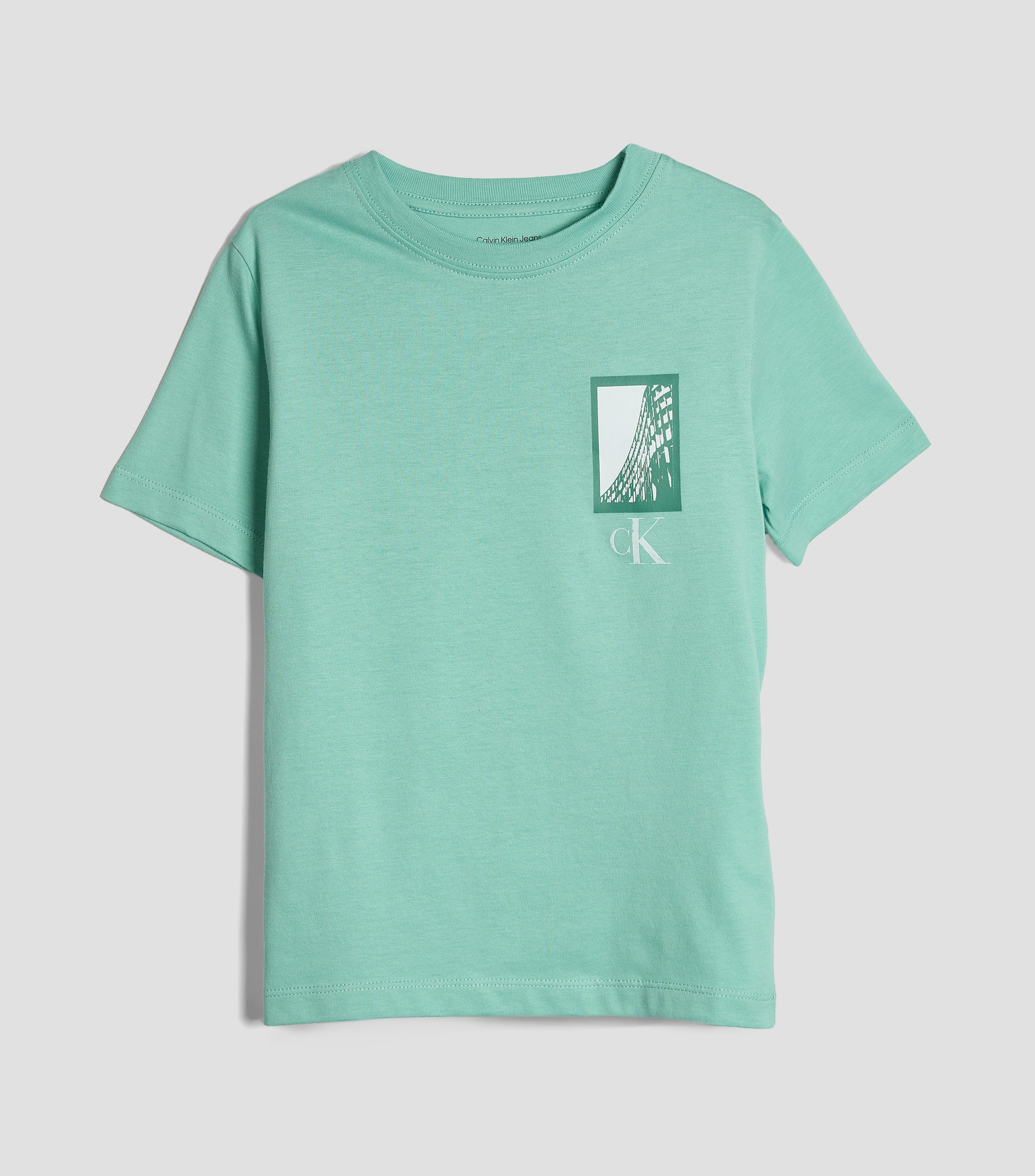 Playera cuello redondo manga corta estampada Niño