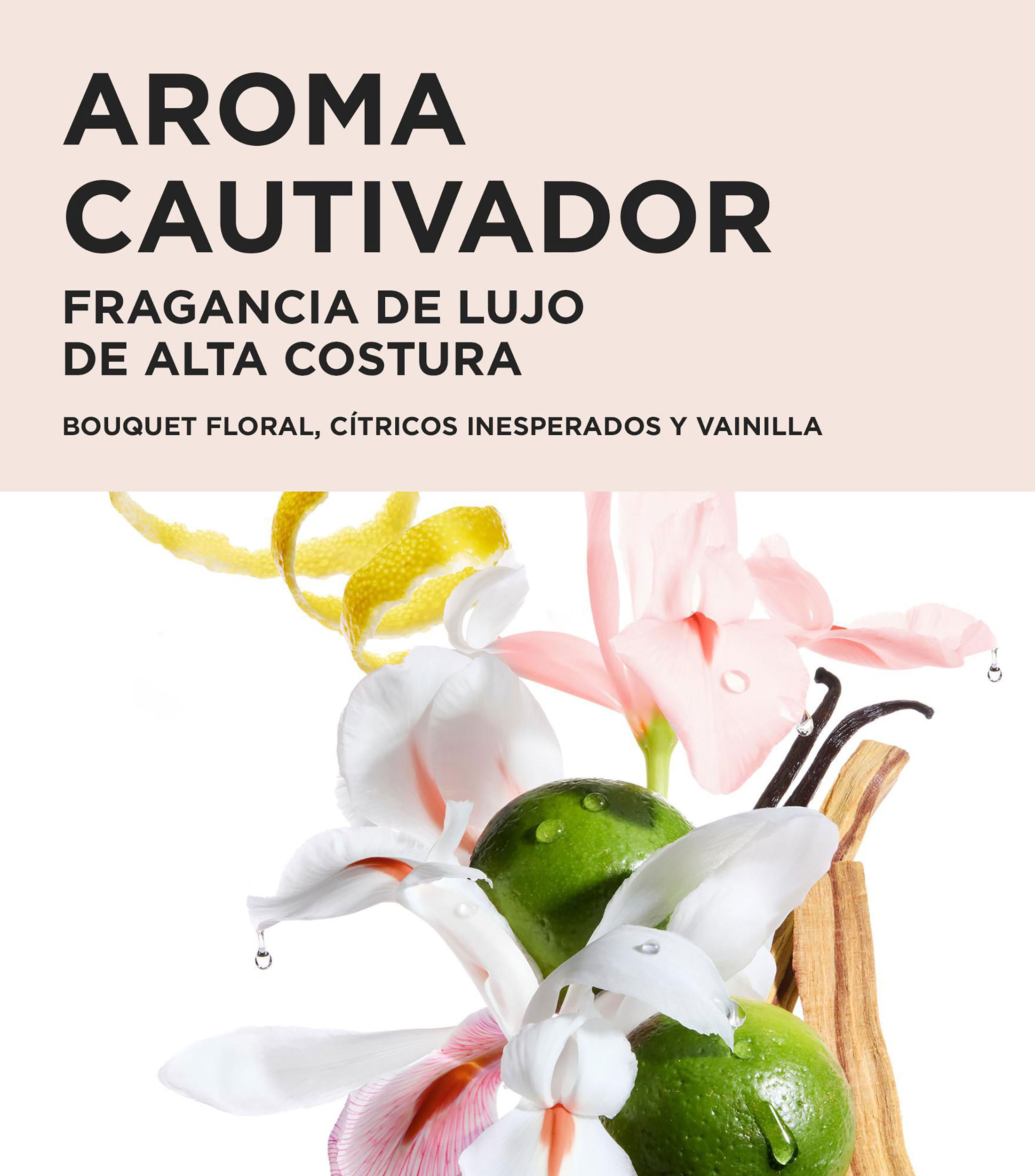 Shampoo Gloss Absolu - Bain Crème Hydra-Glaze, 250 ml