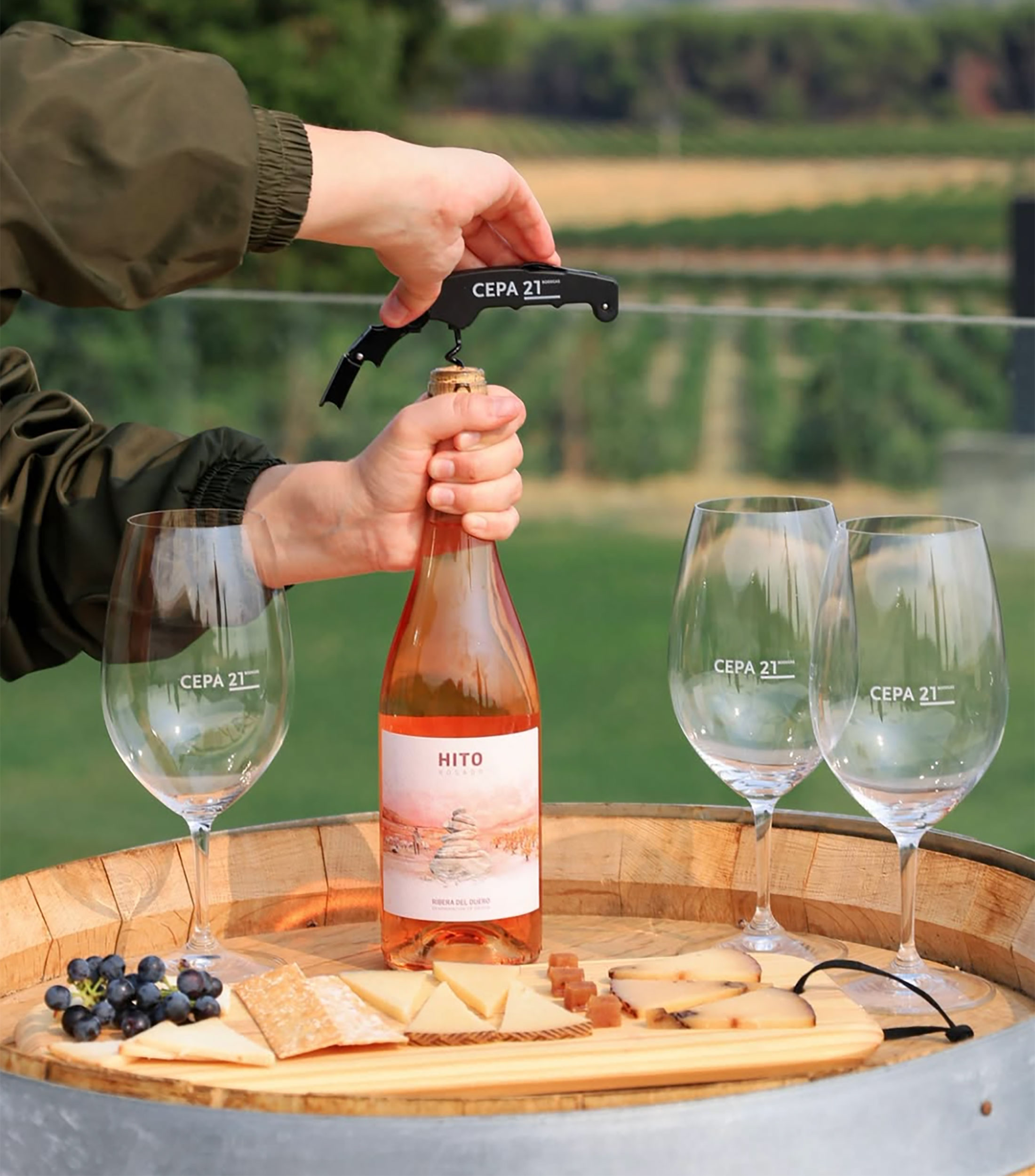 Vino Rosado Tempranillo Hito, 750 ml