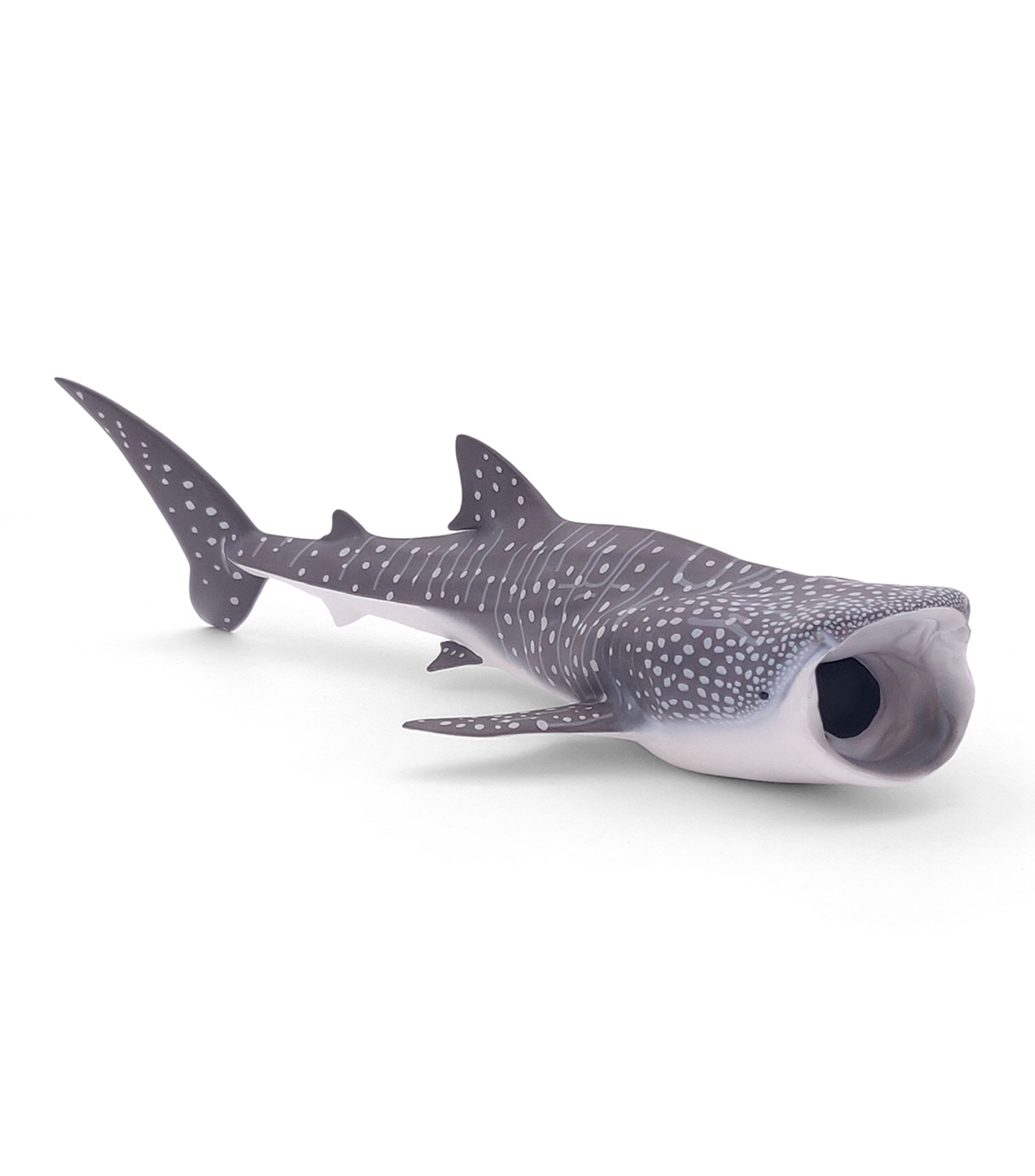 Tiburón ballena