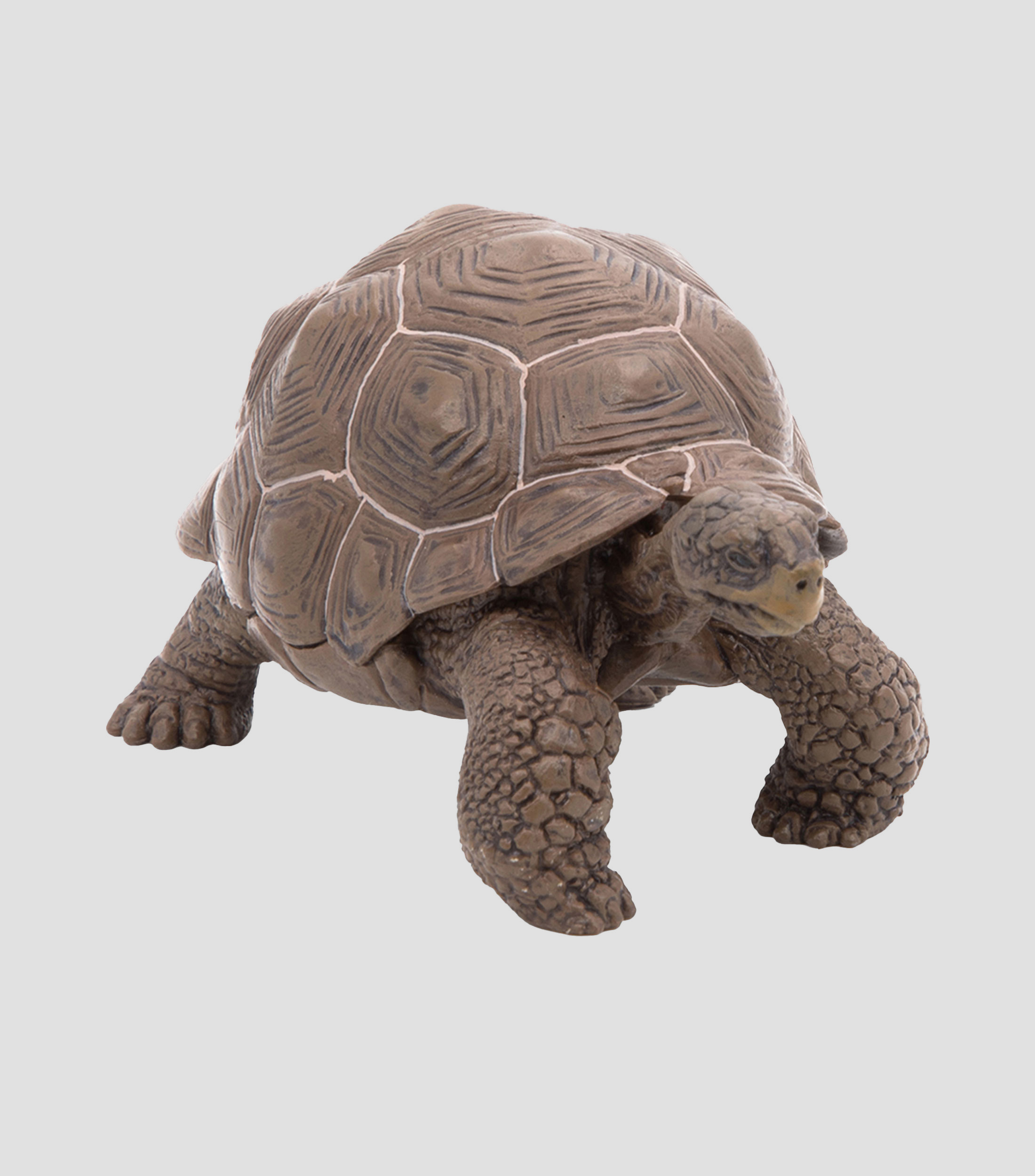 Figura Tortuga galapagos