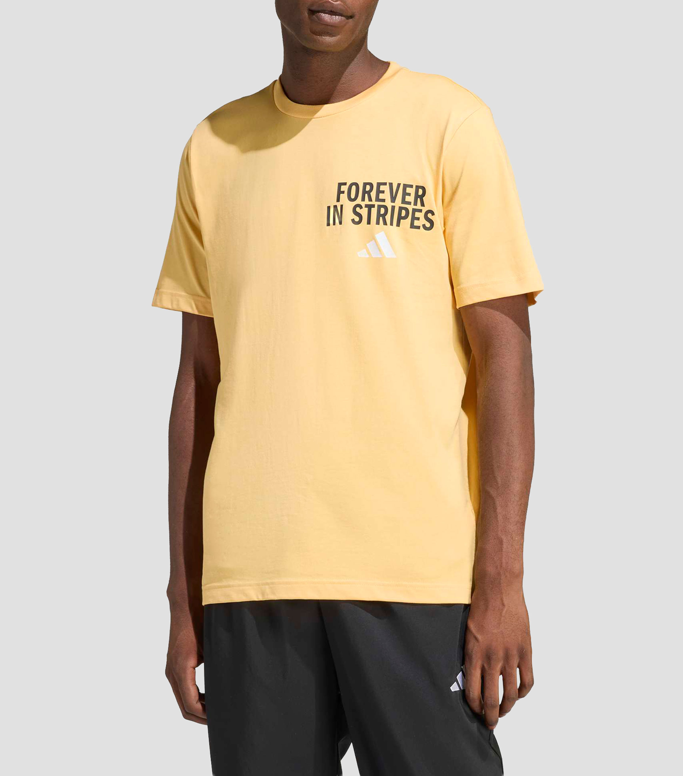 Playera deportiva Forever in Stripes estampada Hombre