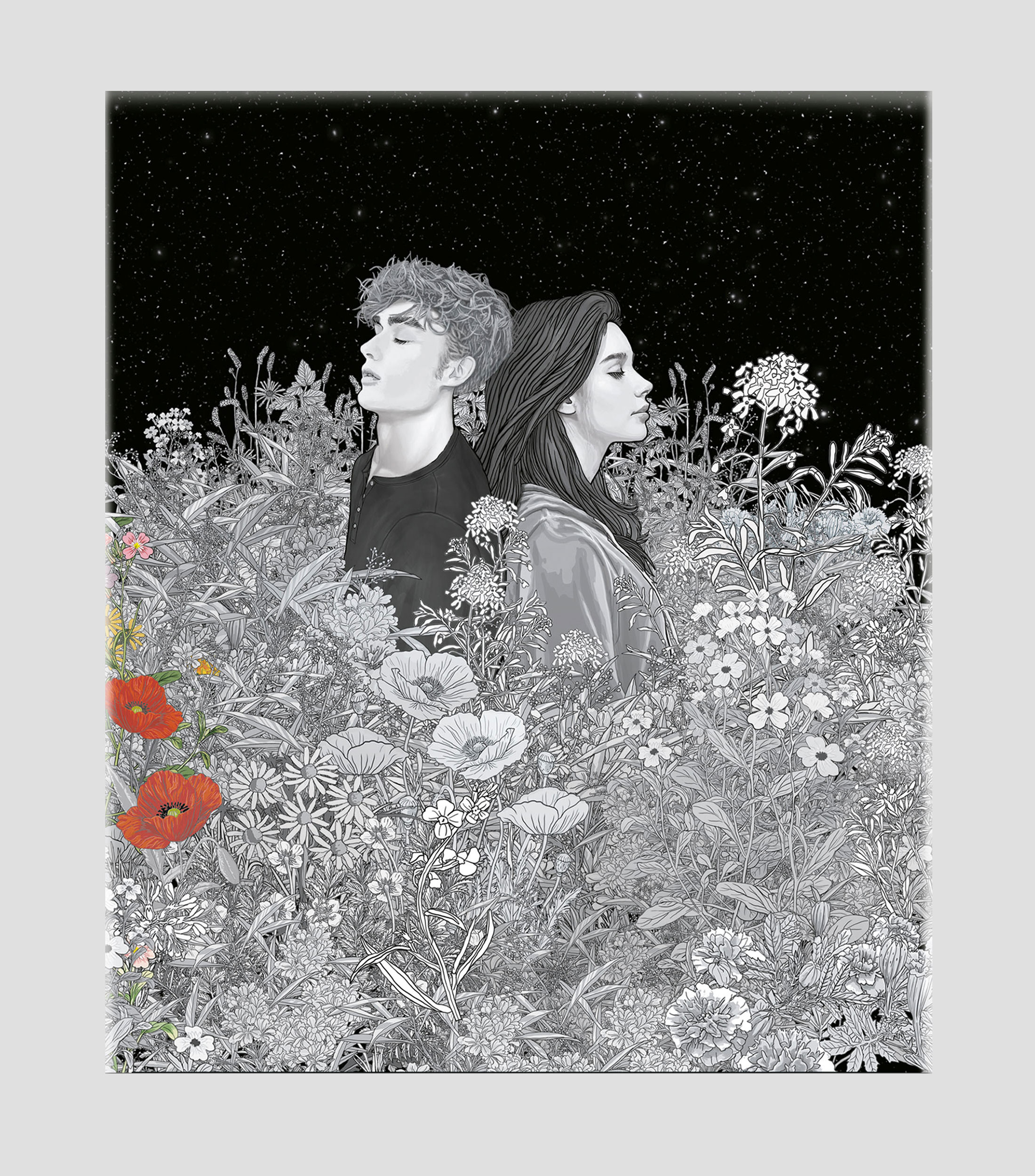 Arte Y RecreaciónEstuche Saga Crepúsculo, Stephenie Meyer