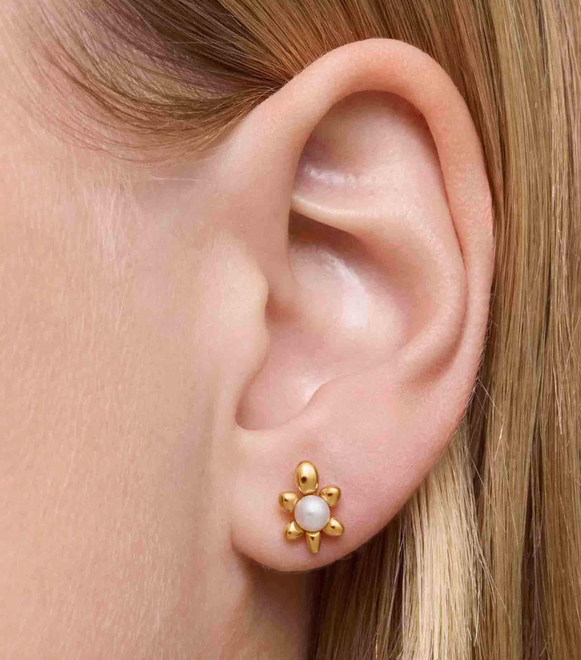 Set 2 Pares de aretes en Plata Virtual Garden Mujer