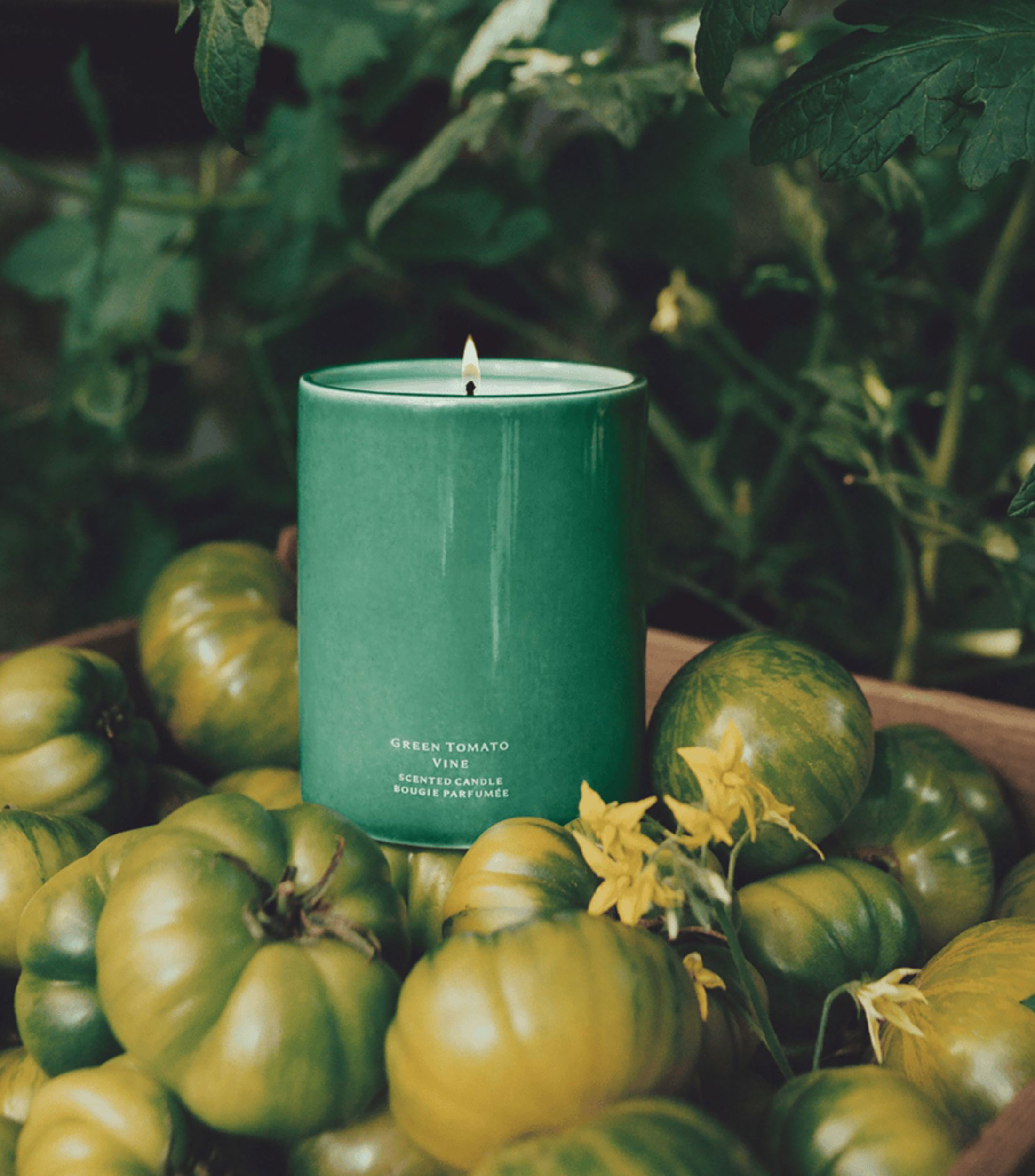 Vela aromática Green Tomato Vine