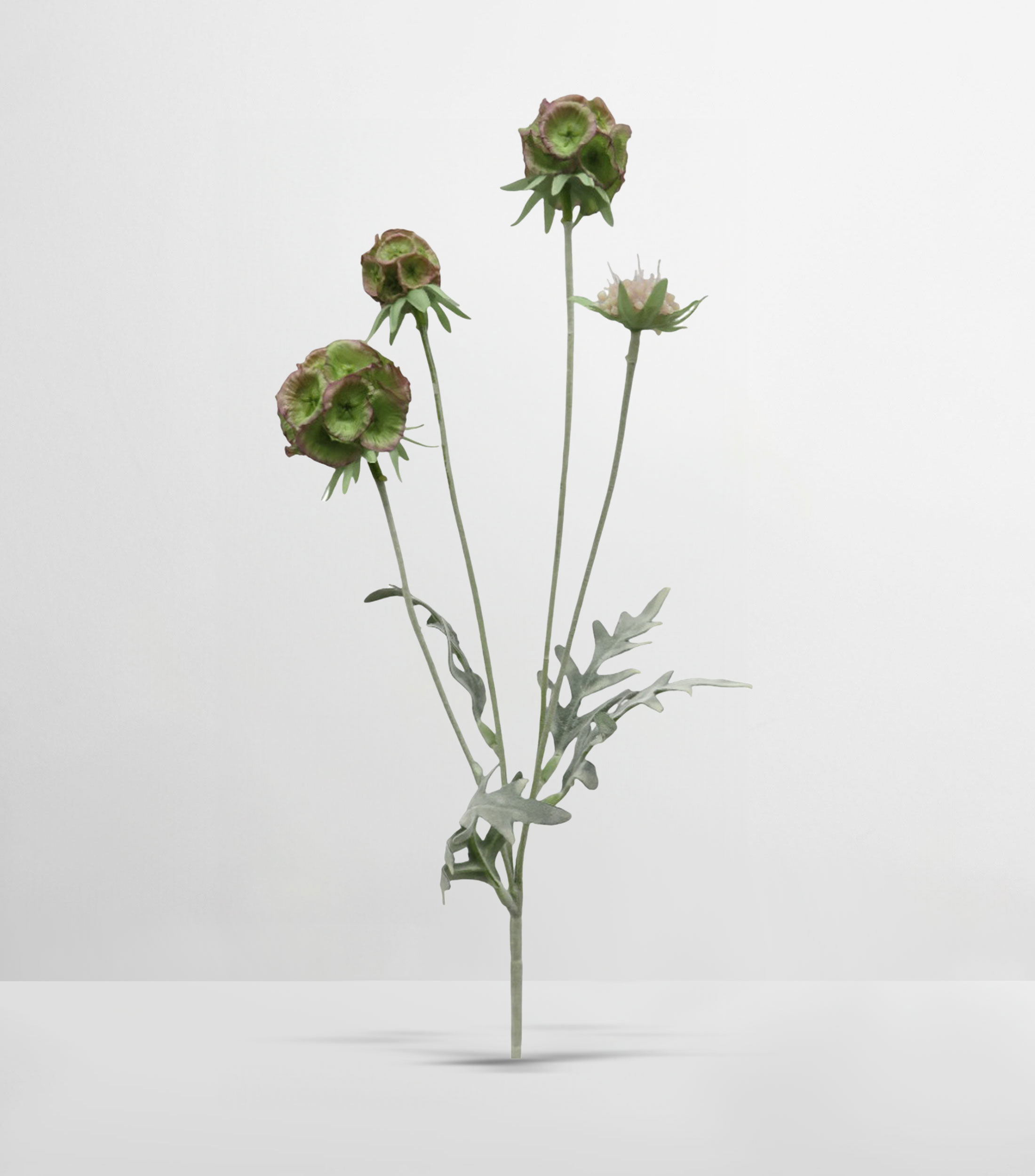 Flor Scabiosa Decorativa Cafe Verde, Artificial