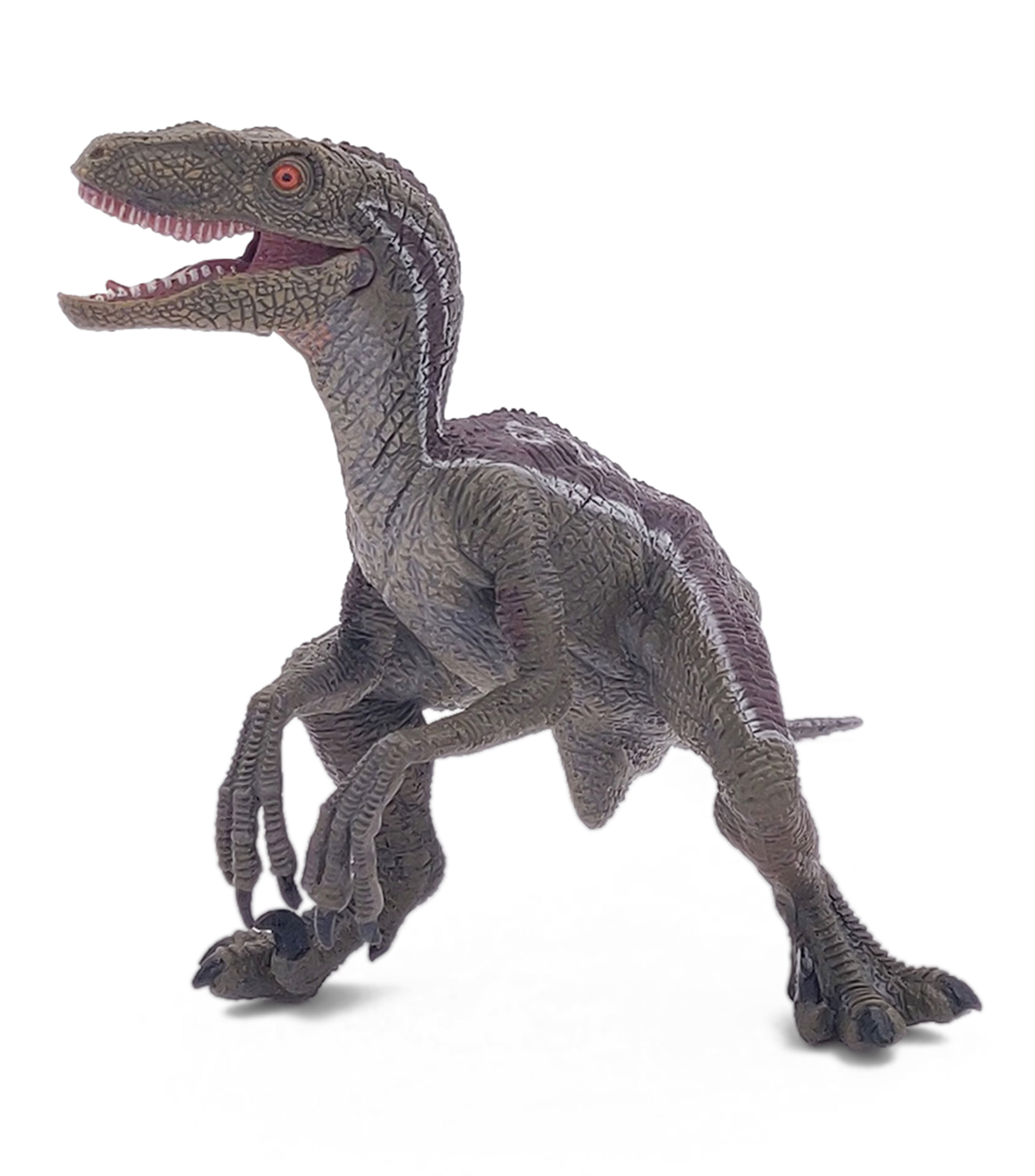 Velociraptor
