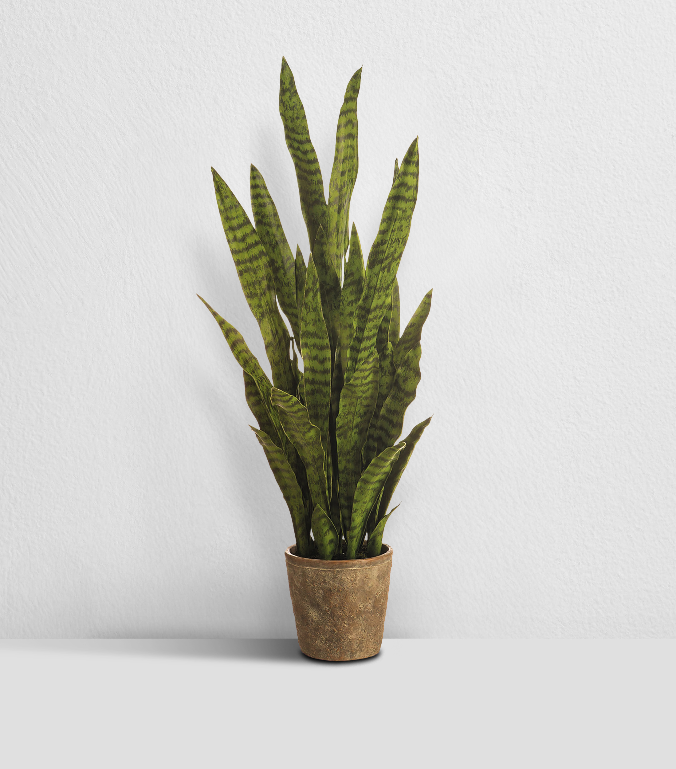 Planta decorativa Sansevieria con Maceta artificial