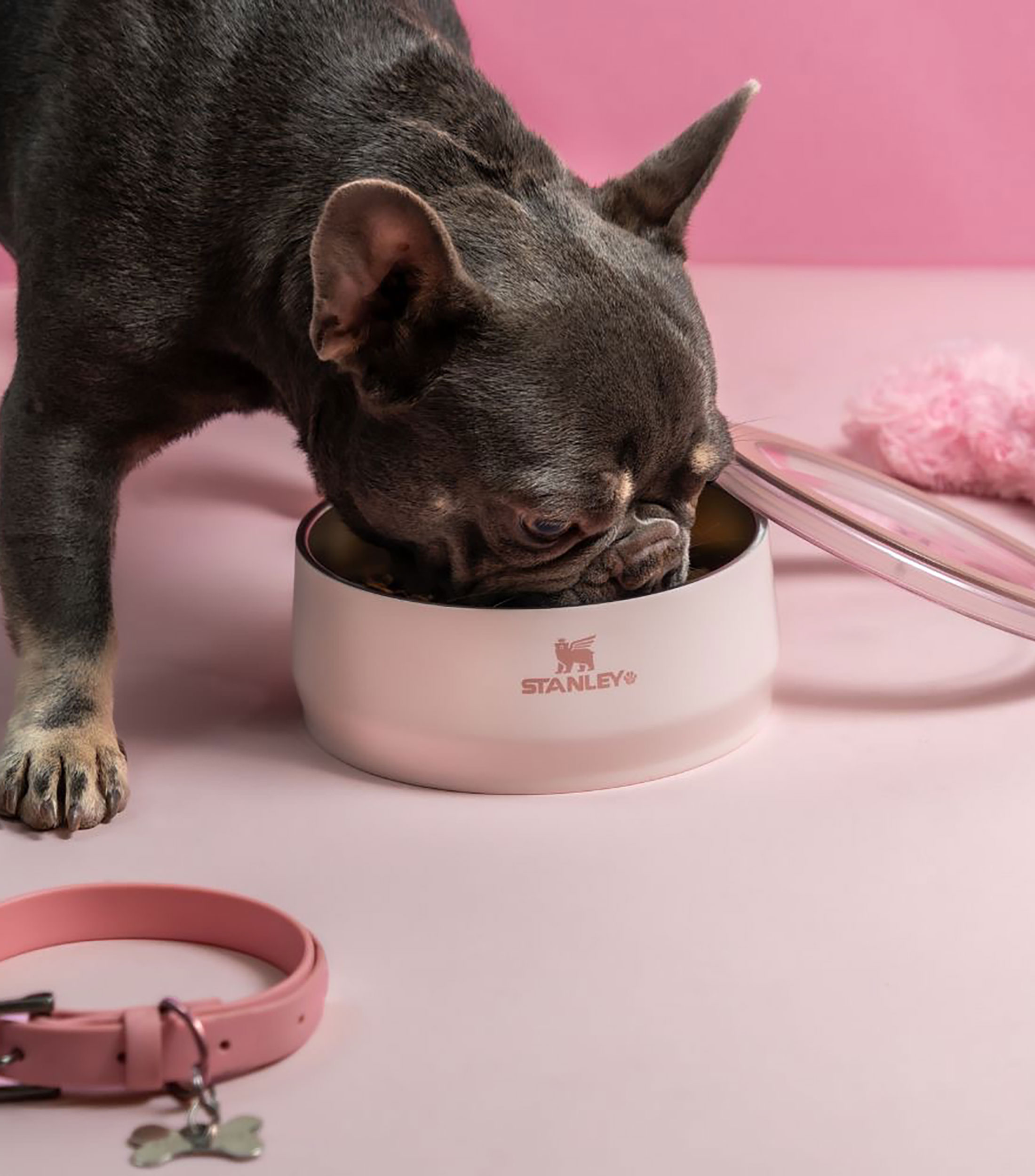 Bowl para mascota en acero inoxidable rosa cuarzo, 710 ml