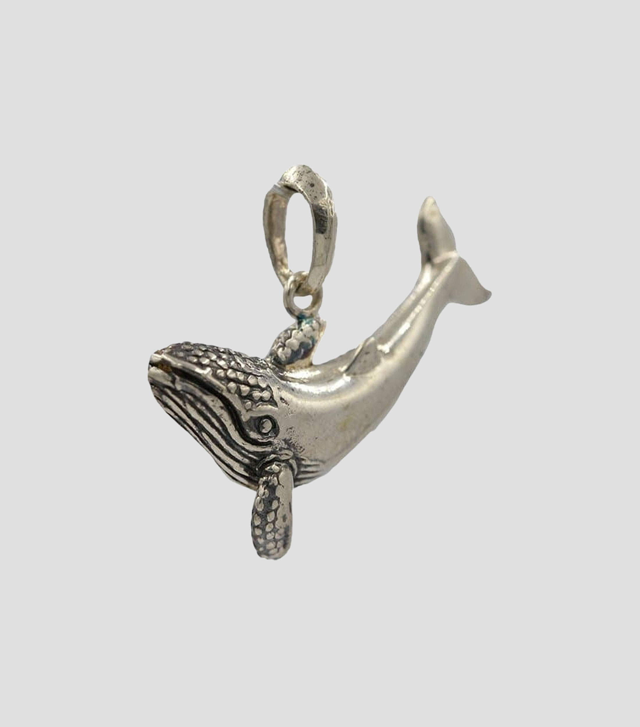 Dije de ballena con cadena en Plata .925 Whale Unisex