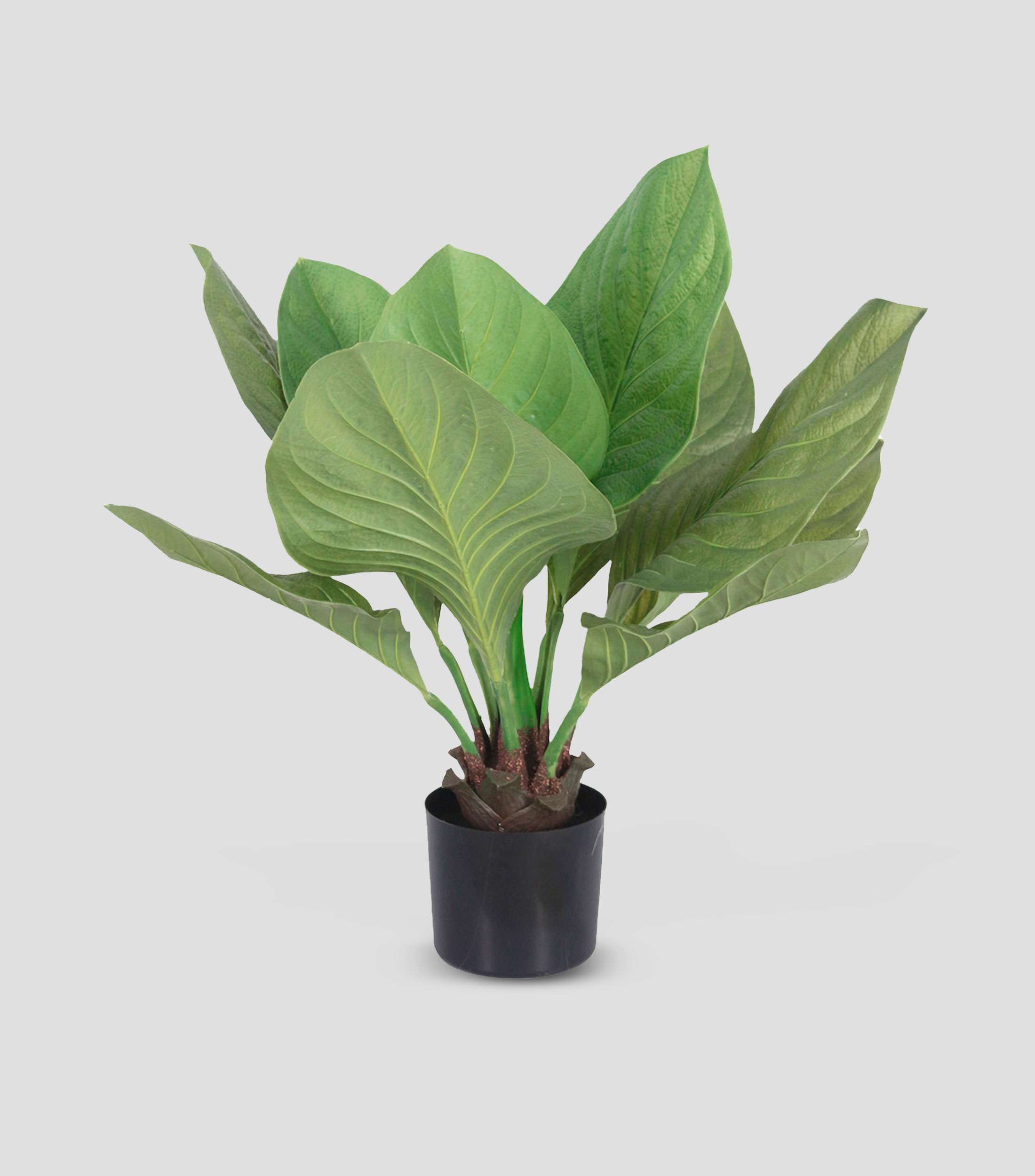 Planta decorativa Anturio artificial