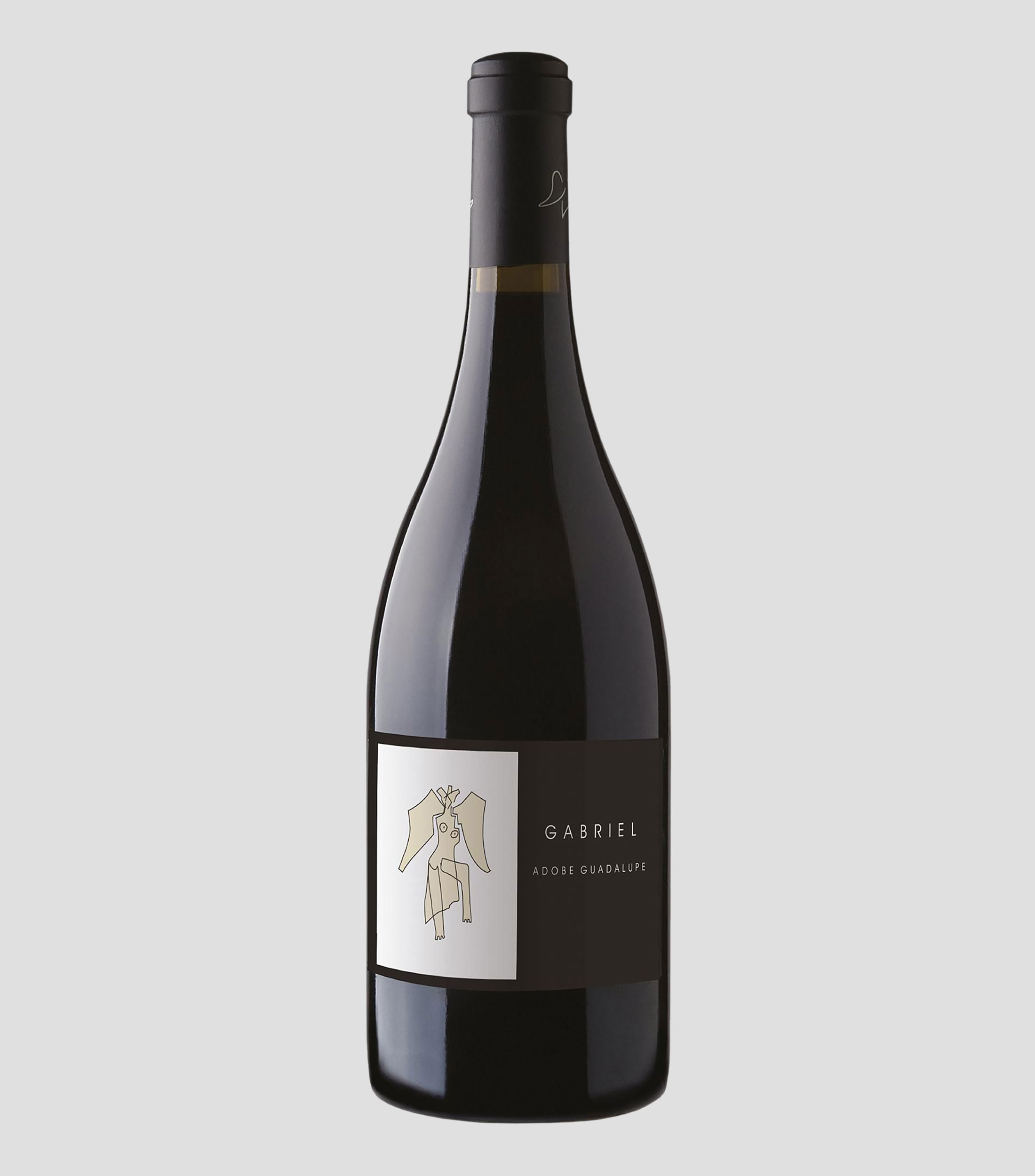 Vino tinto merlot Gabriel, México, 750 ml